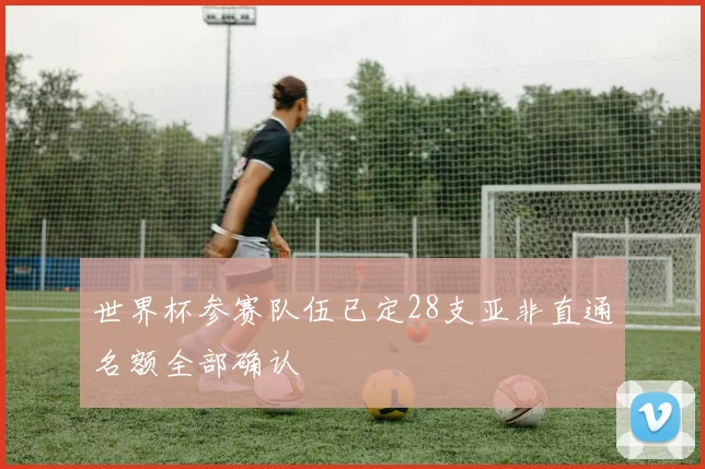 世界杯参赛队伍已定28支亚非直通名额全部确认