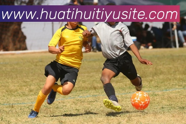 华体会体育APP 封面图